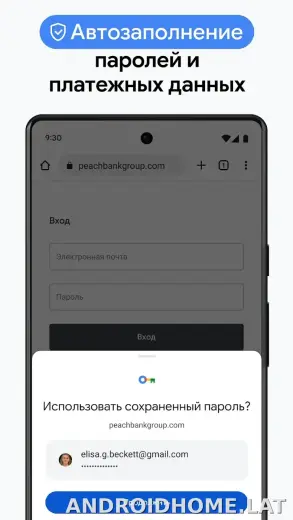 Google Chrome скриншот 6